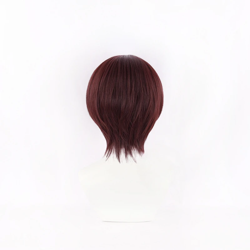 Anime Windbreker Hayato Suo Co - Anime Cosplay With Red Hair recensie en prijs