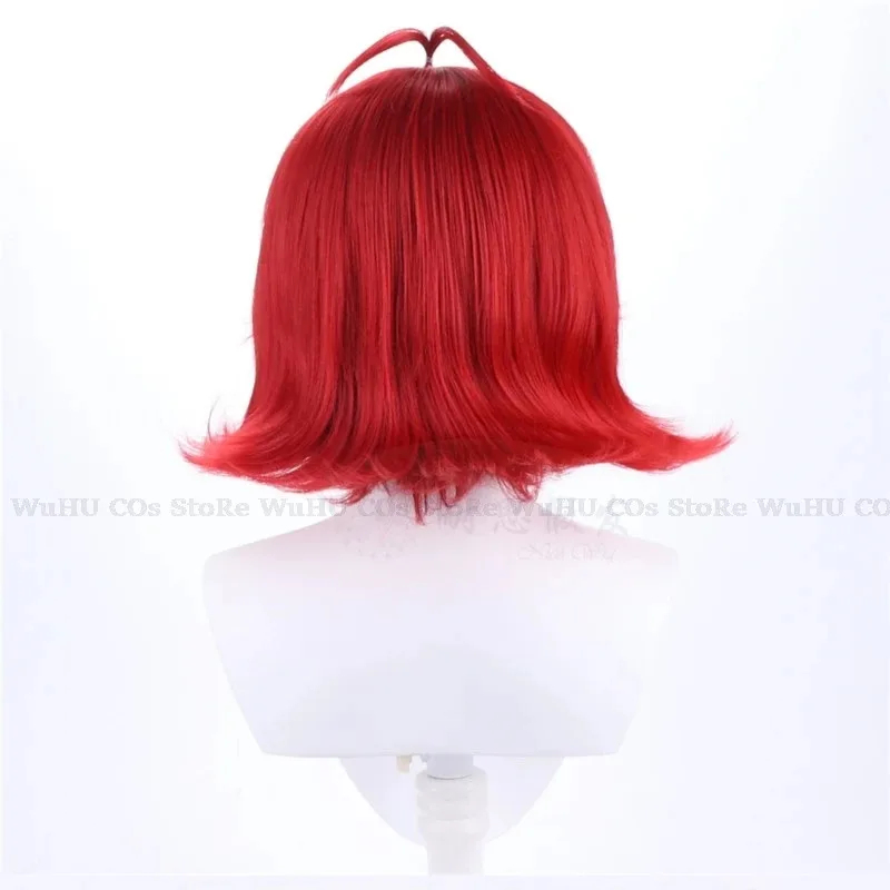 2025 Hasbin Cos Niffty Wig Ani - Anime Cosplay With Red Hair recensie en prijs