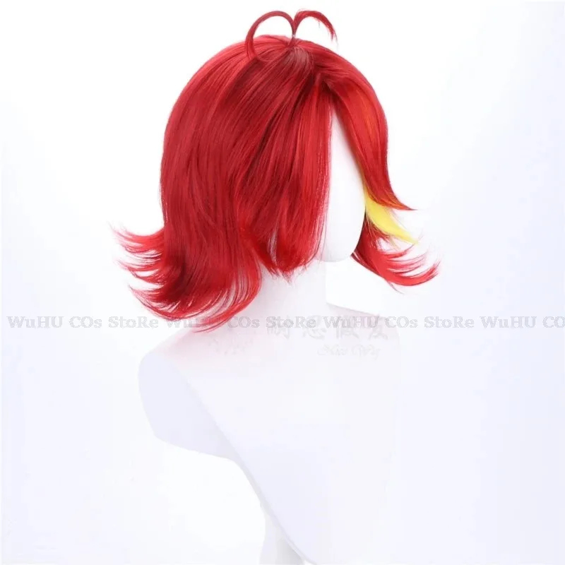 2025 Hasbin Cos Niffty Wig Ani - Anime Cosplay With Red Hair recensie en prijs
